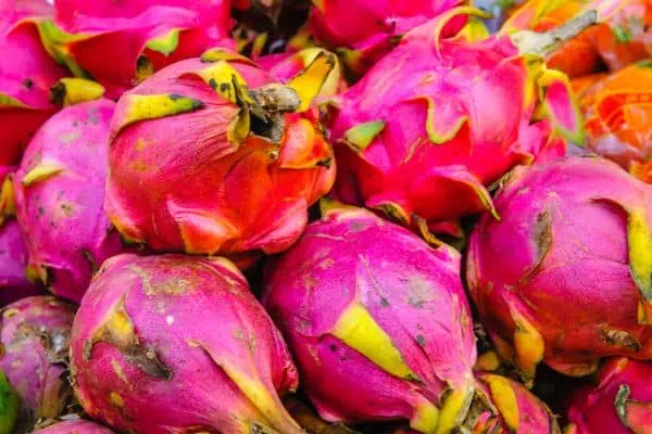 Pitahayas or dragon fruits online
