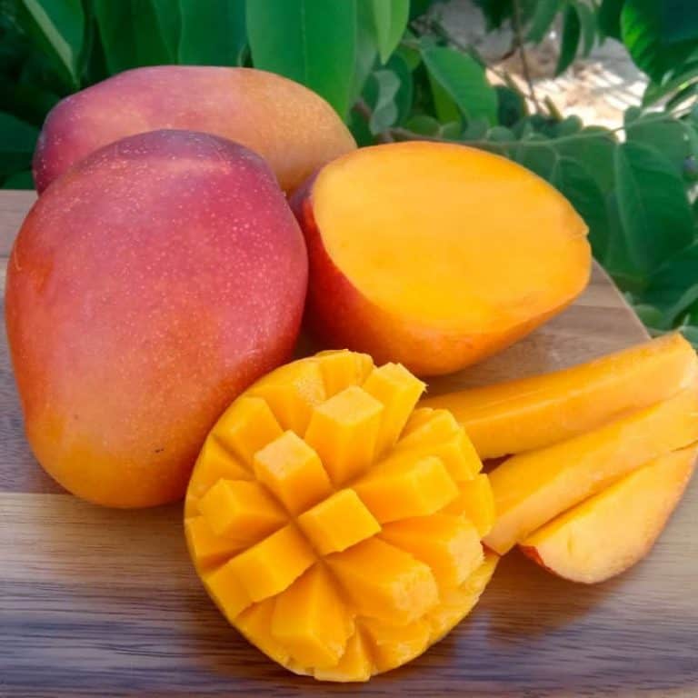 Comprar mango Irwin de la huerta a domicilio