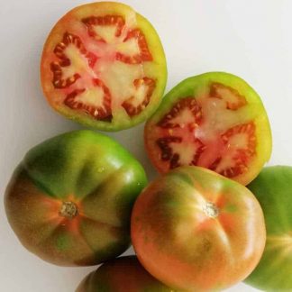 Comprar tomate pinton de la huerta a domicilio