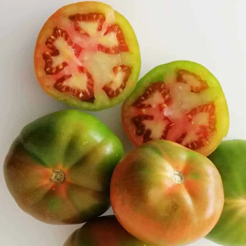 Comprar tomate pinton de la huerta a domicilio
