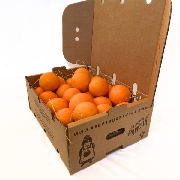 Oranges - Image 3