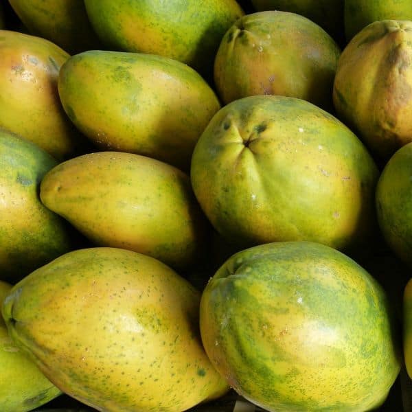 Comprar papayas online de la huerta a domicilio