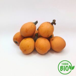 Nísperos BIO*