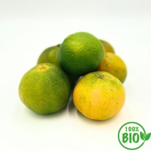 BIO-Mandarinen*