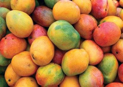 mini mangos de la huerta de pancha