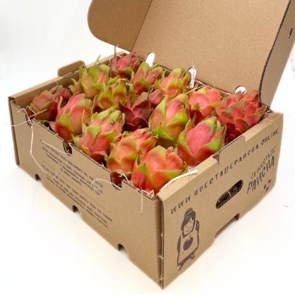 Mini Pitayas - Image 2