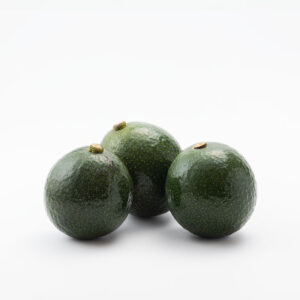 Aguacates Reed