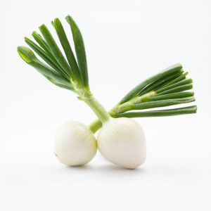 Oignons blancs