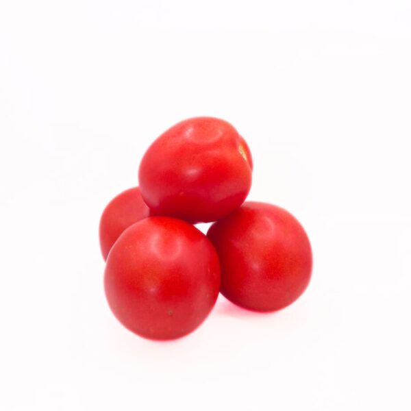 Gazpacho Pack - Image 5