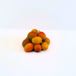 Mangos Bits