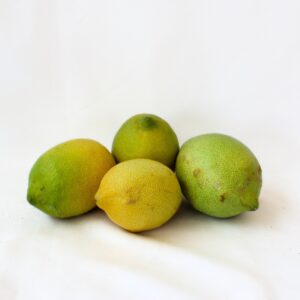 Limones de verano