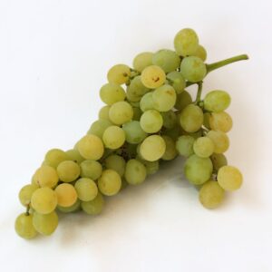Uvas Moscatel