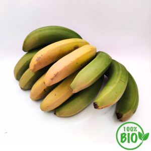 Plátano Malagueño BIO*