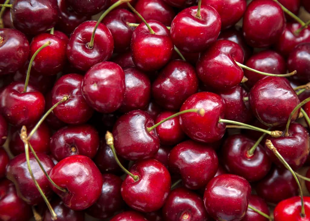 cerezas 