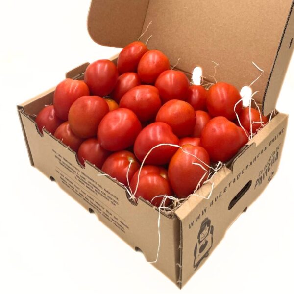 Tomates Pera – Bild 2
