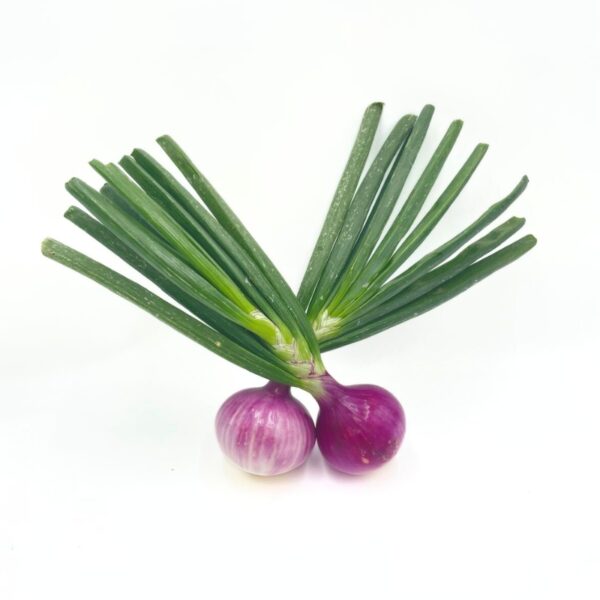 Cebolla Morada